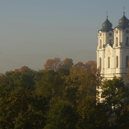 Dom Litewski Сейны Экстерьер фото