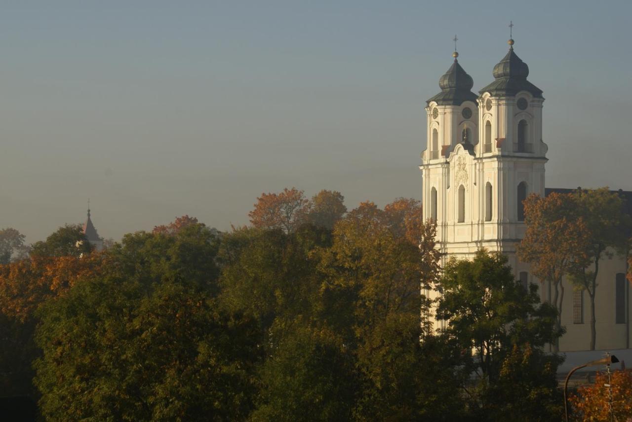 Dom Litewski Сейны Экстерьер фото
